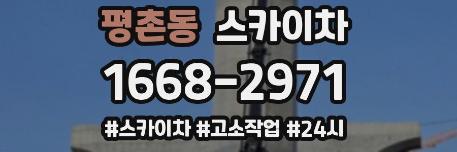 평촌동 스카이차