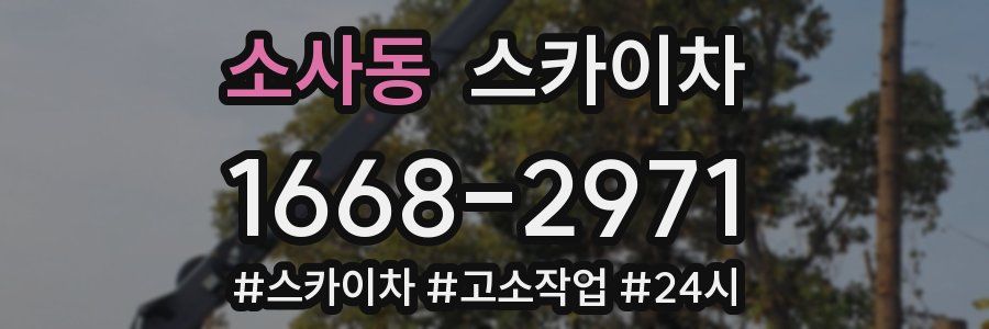 소사동 스카이차