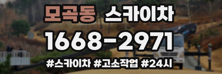 모곡동 스카이차