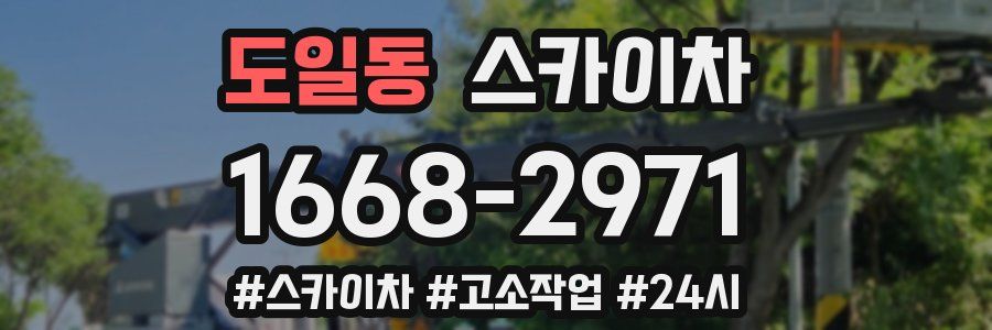 도일동 스카이차