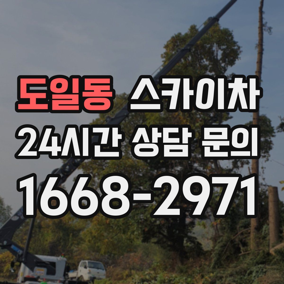 도일동 스카이차