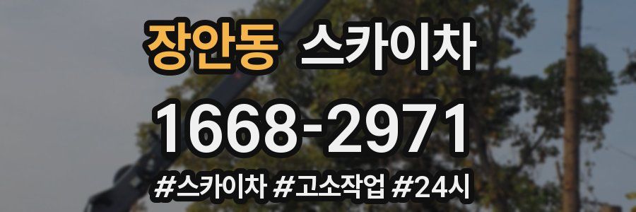 장안동 스카이차