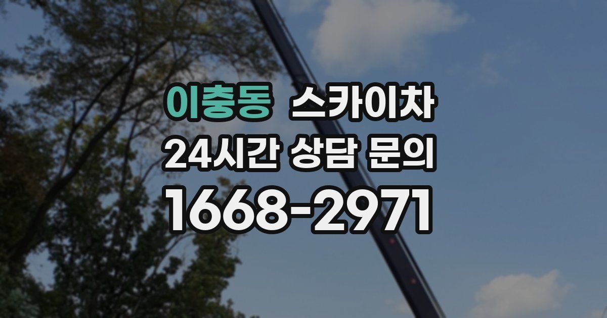 이충동 스카이차