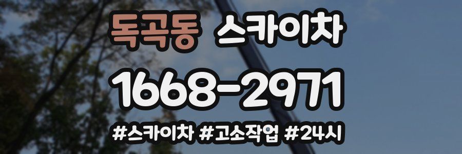 독곡동 스카이차