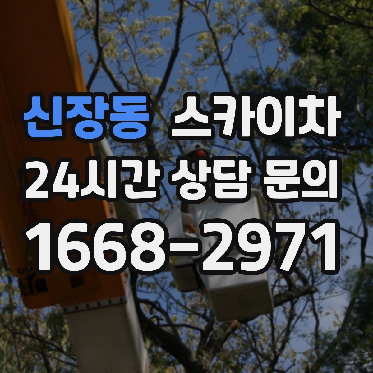 신장동 스카이차 주말 작업 요청이 많을 때 예약 팁