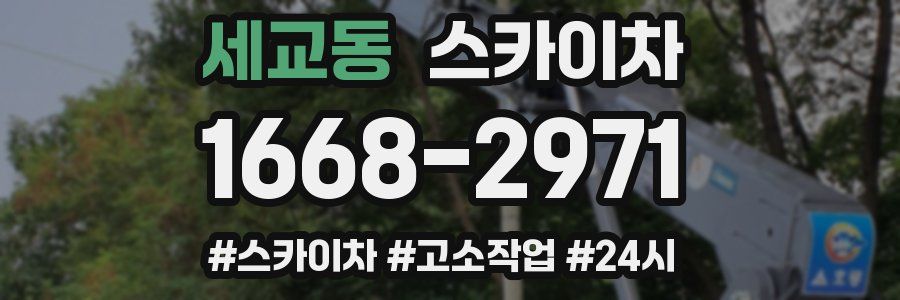 세교동 스카이차