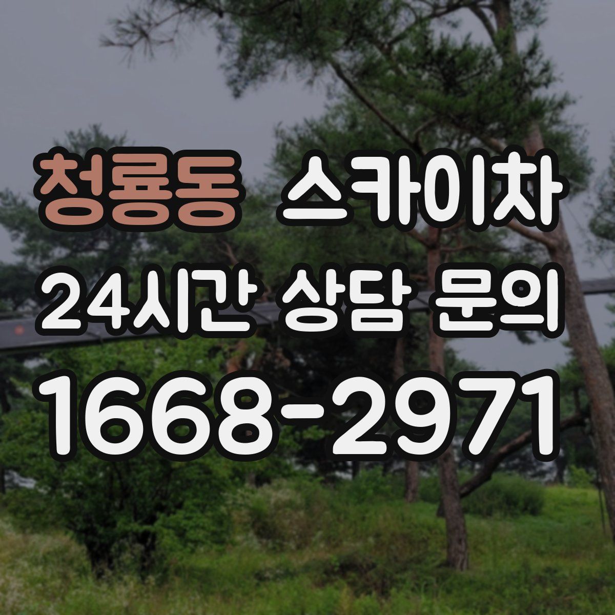 청룡동 스카이차