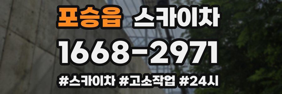 포승읍 스카이차