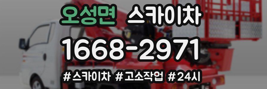 오성면 스카이차