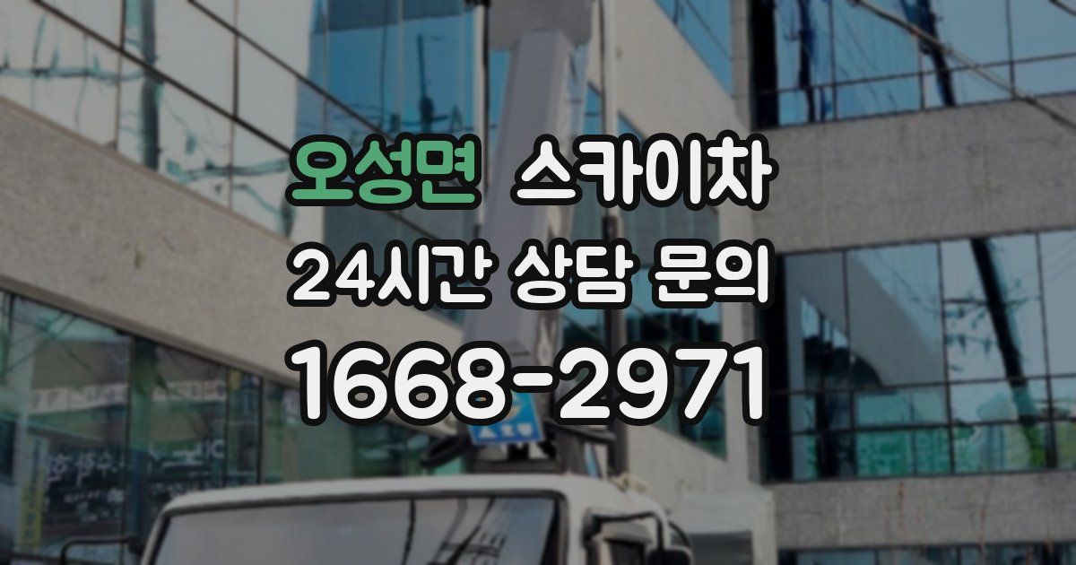 오성면 스카이차