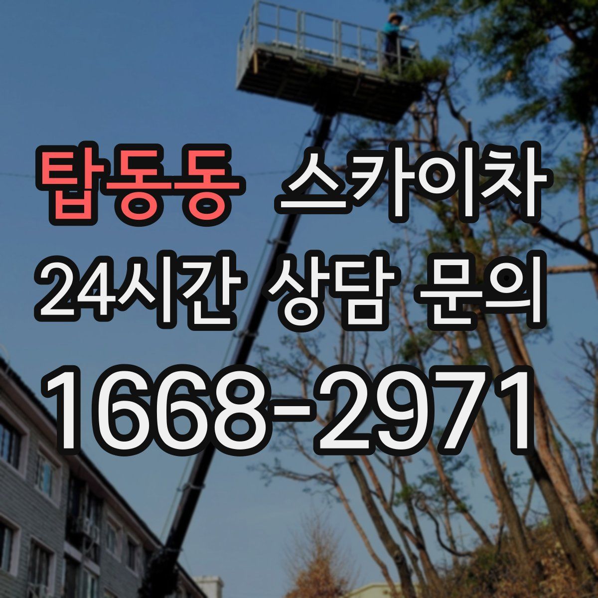 탑동동 스카이차