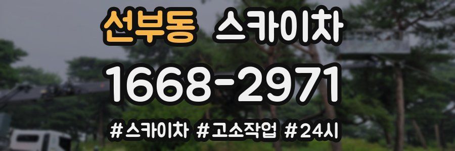 선부동 스카이차