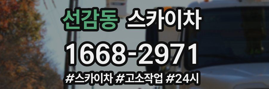 선감동 스카이차