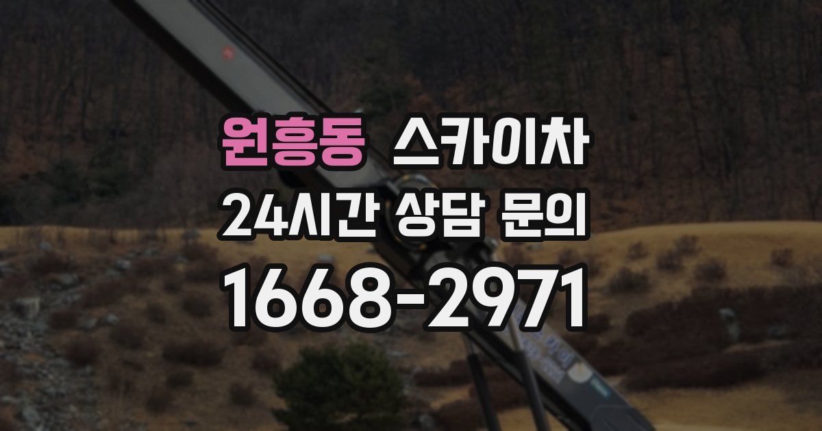 원흥동 스카이차