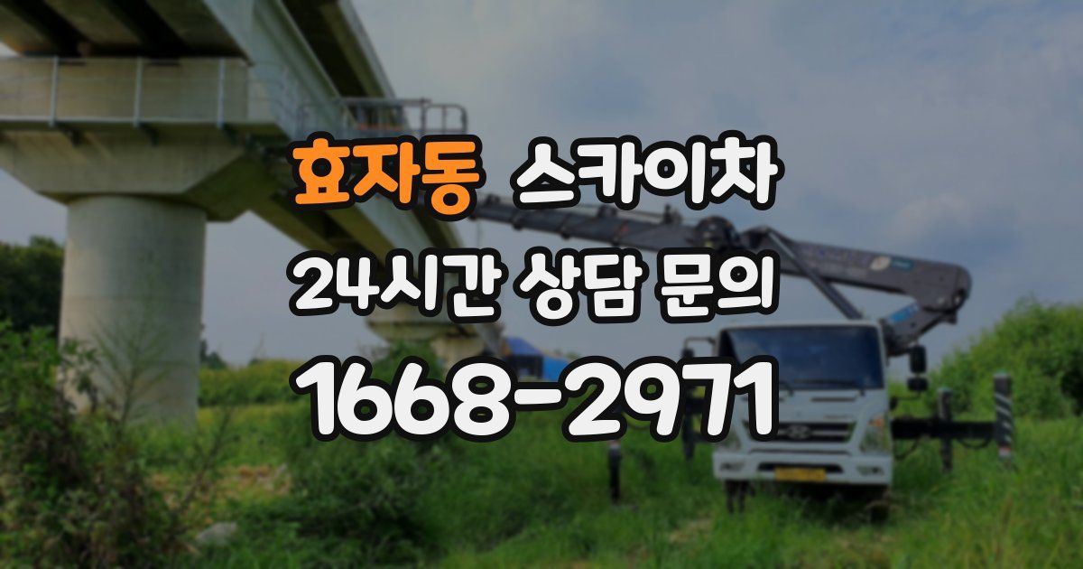 효자동 스카이차