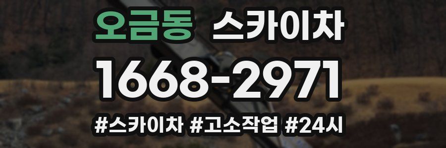 오금동 스카이차