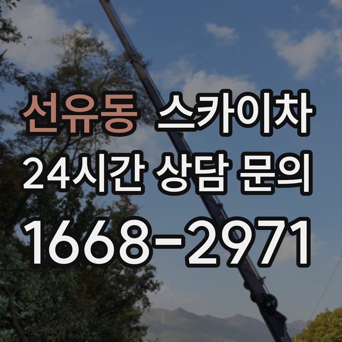 선유동 스카이차 당일 작업 가능 여부를 결정하는 기준