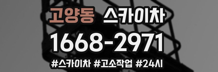 고양동 스카이차