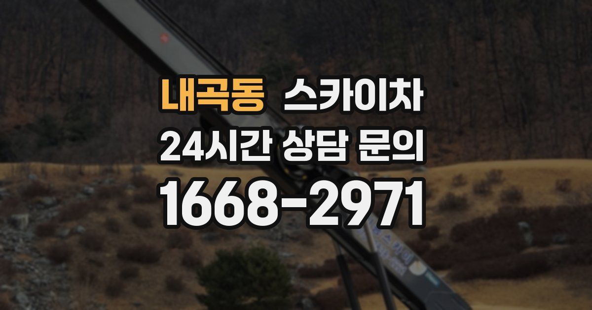 내곡동 스카이차