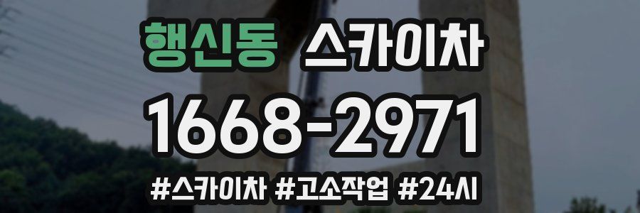 행신동 스카이차