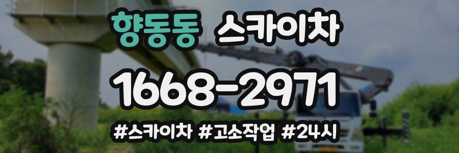 향동동 스카이차