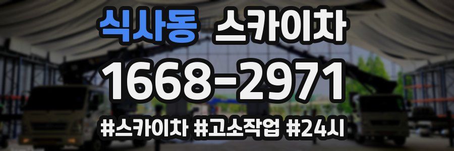 식사동 스카이차