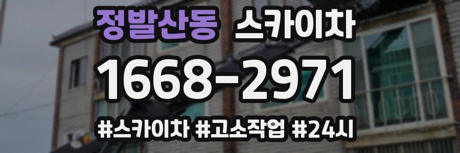 정발산동 스카이차