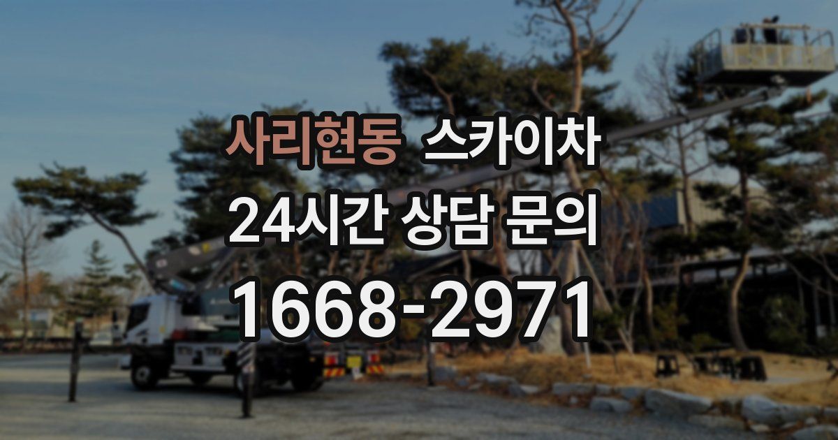 사리현동 스카이차
