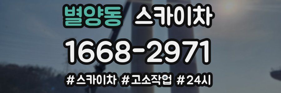 별양동 스카이차