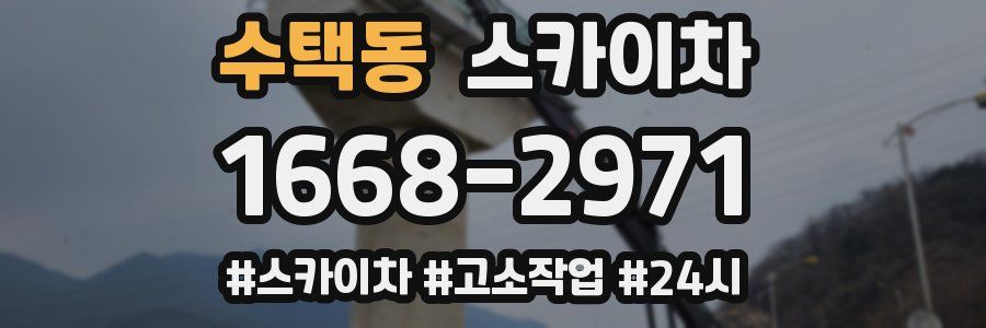 수택동 스카이차