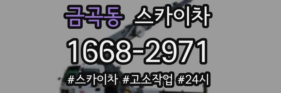 금곡동 스카이차