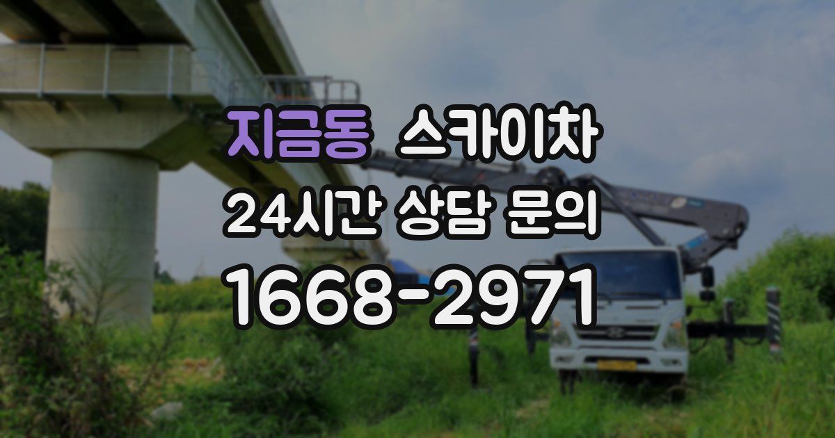 지금동 스카이차