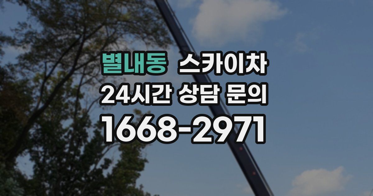 별내동 스카이차