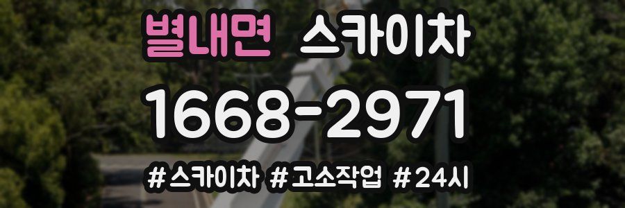 별내면 스카이차