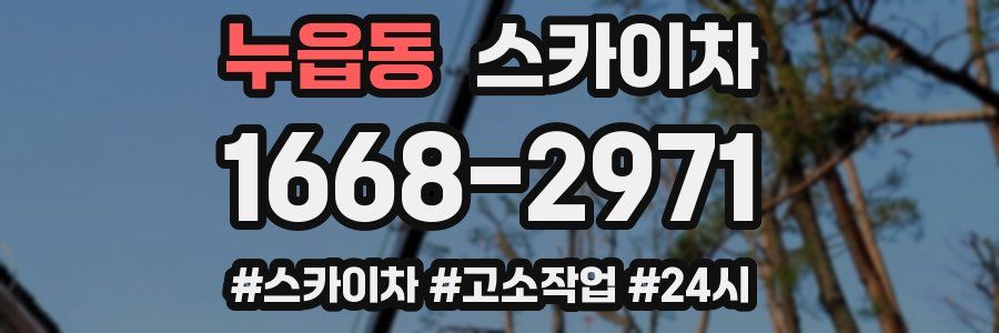 누읍동 스카이차