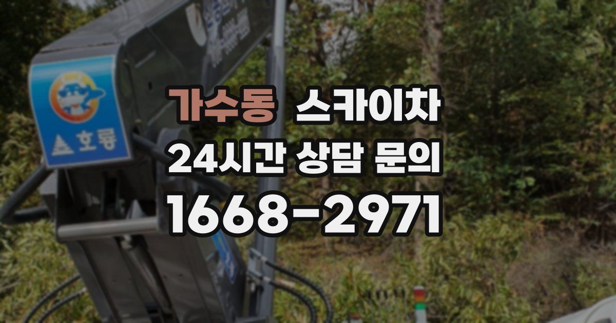 가수동 스카이차