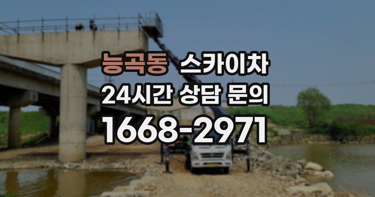 능곡동 스카이차