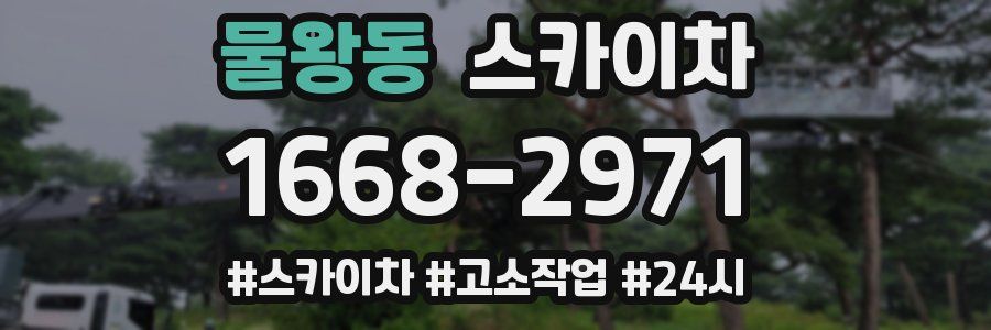 물왕동 스카이차