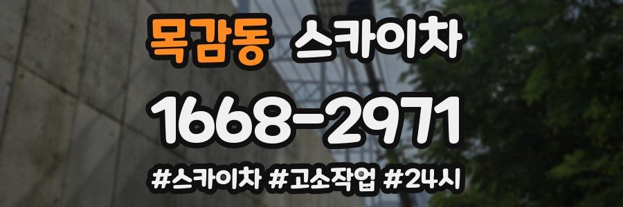 목감동 스카이차