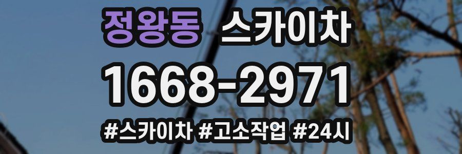 정왕동 스카이차