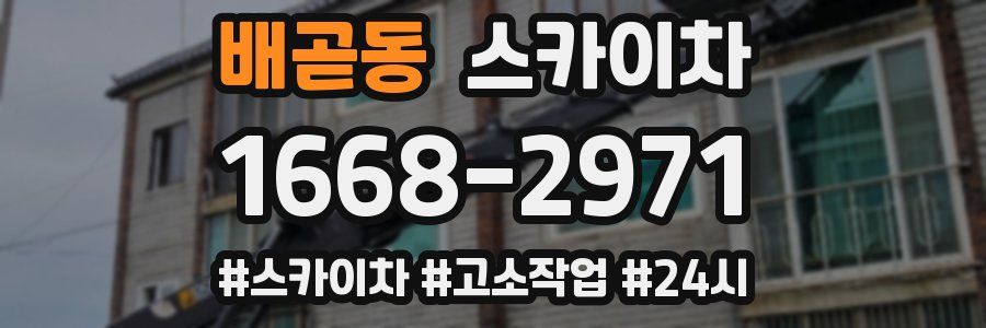 배곧동 스카이차