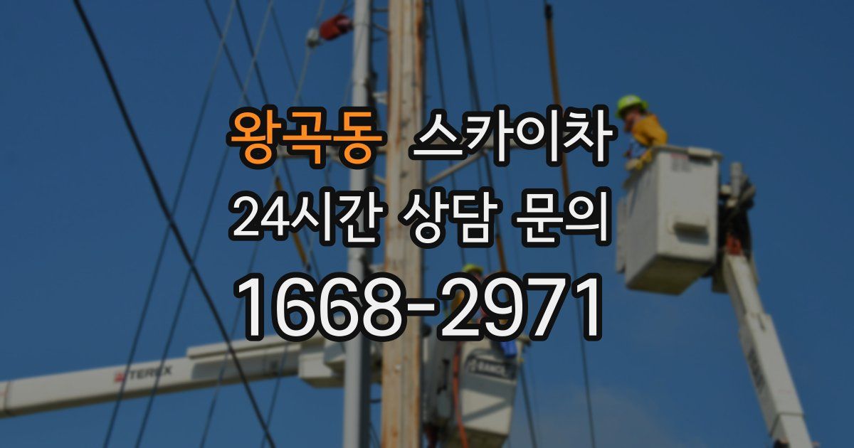 왕곡동 스카이차