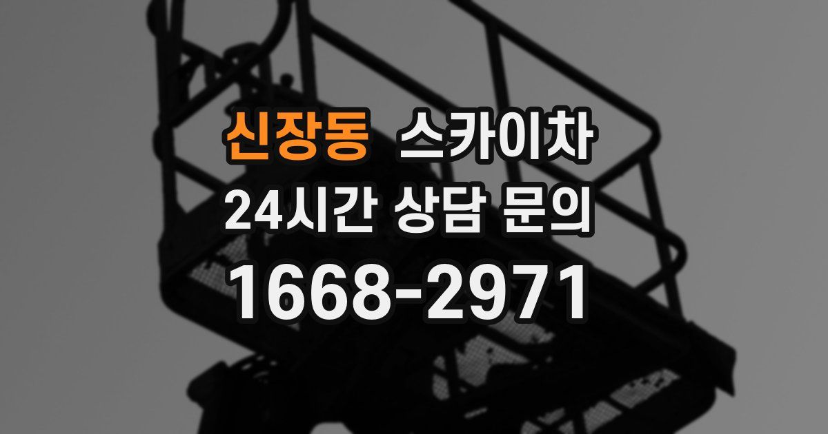 신장동 스카이차