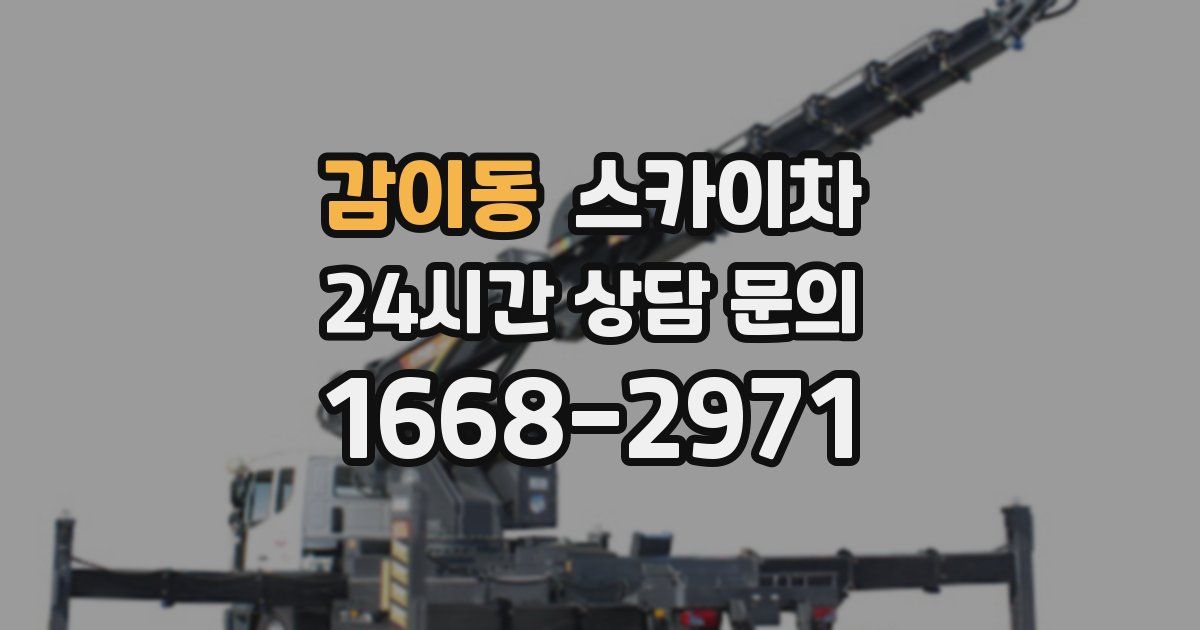 감이동 스카이차