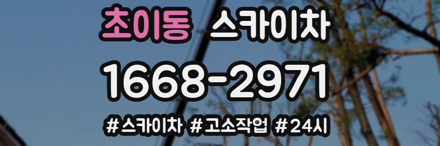 초이동 스카이차