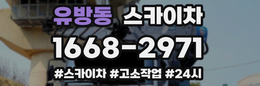 유방동 스카이차