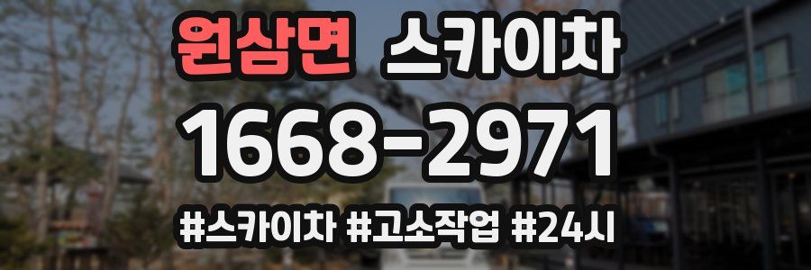 원삼면 스카이차