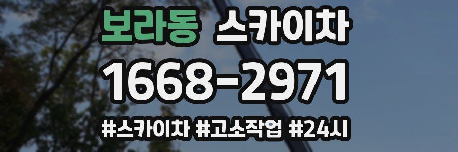 보라동 스카이차