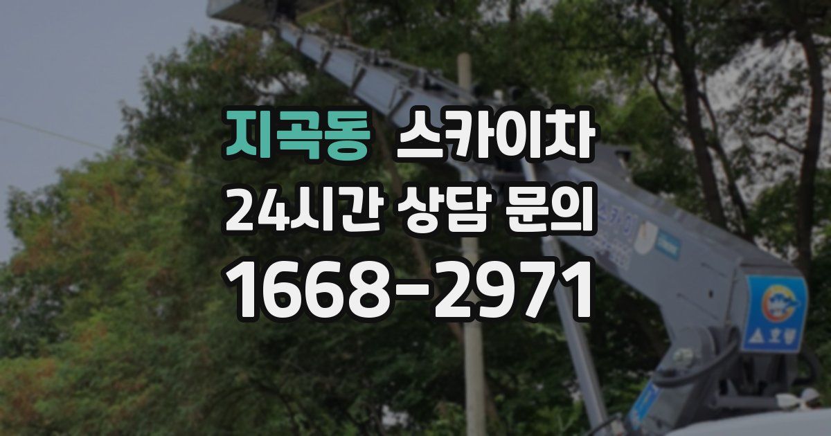 지곡동 스카이차