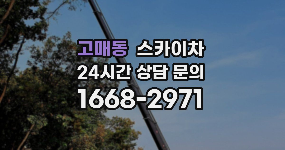 고매동 스카이차